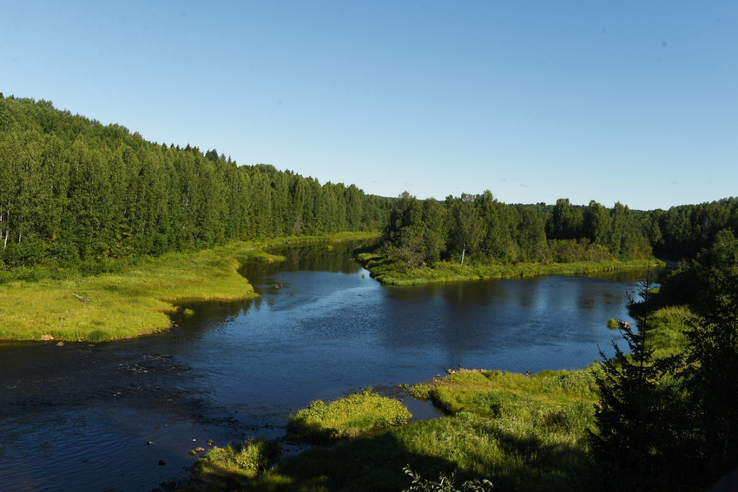 Вода в Ленинградской области становится чище