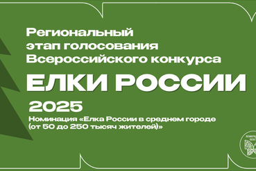 Ленобласть выбирает самую красивую новогоднюю ёлку!