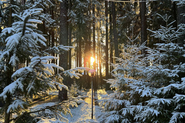 Дорожники и коммунальщики убирают первый снег — а синоптики обещают зимнюю погоду: продолжение осадков и небольшое понижение температуры.